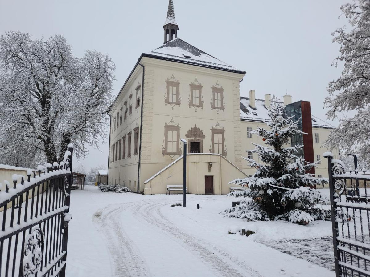 Hotel Zamek Svijany Екстериор снимка